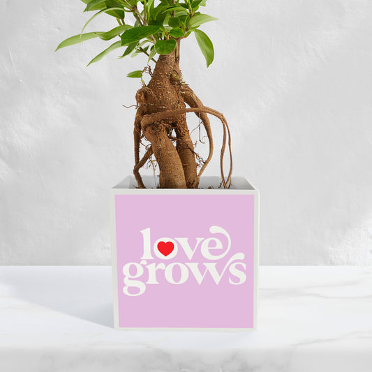 Love Grows - purple
