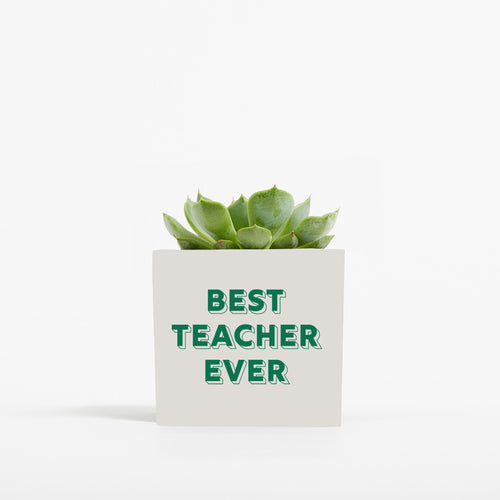 Best Teacher Ever Pot