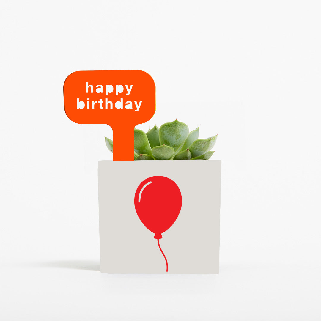 Happy Birthday Pot