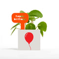 Happy Birthday Pot
