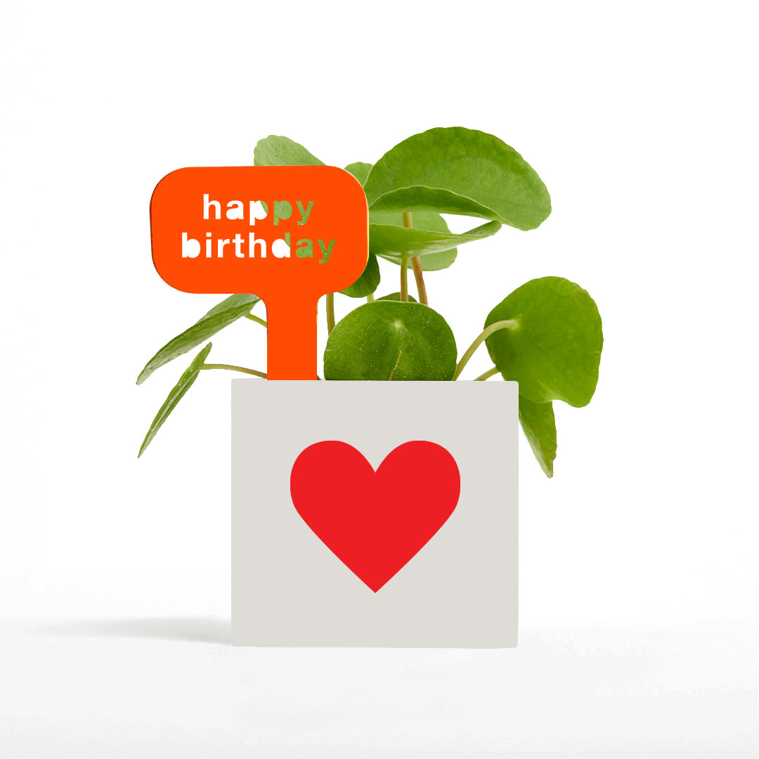 Happy Birthday Pot