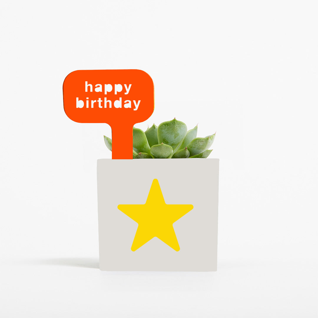 Happy Birthday Pot