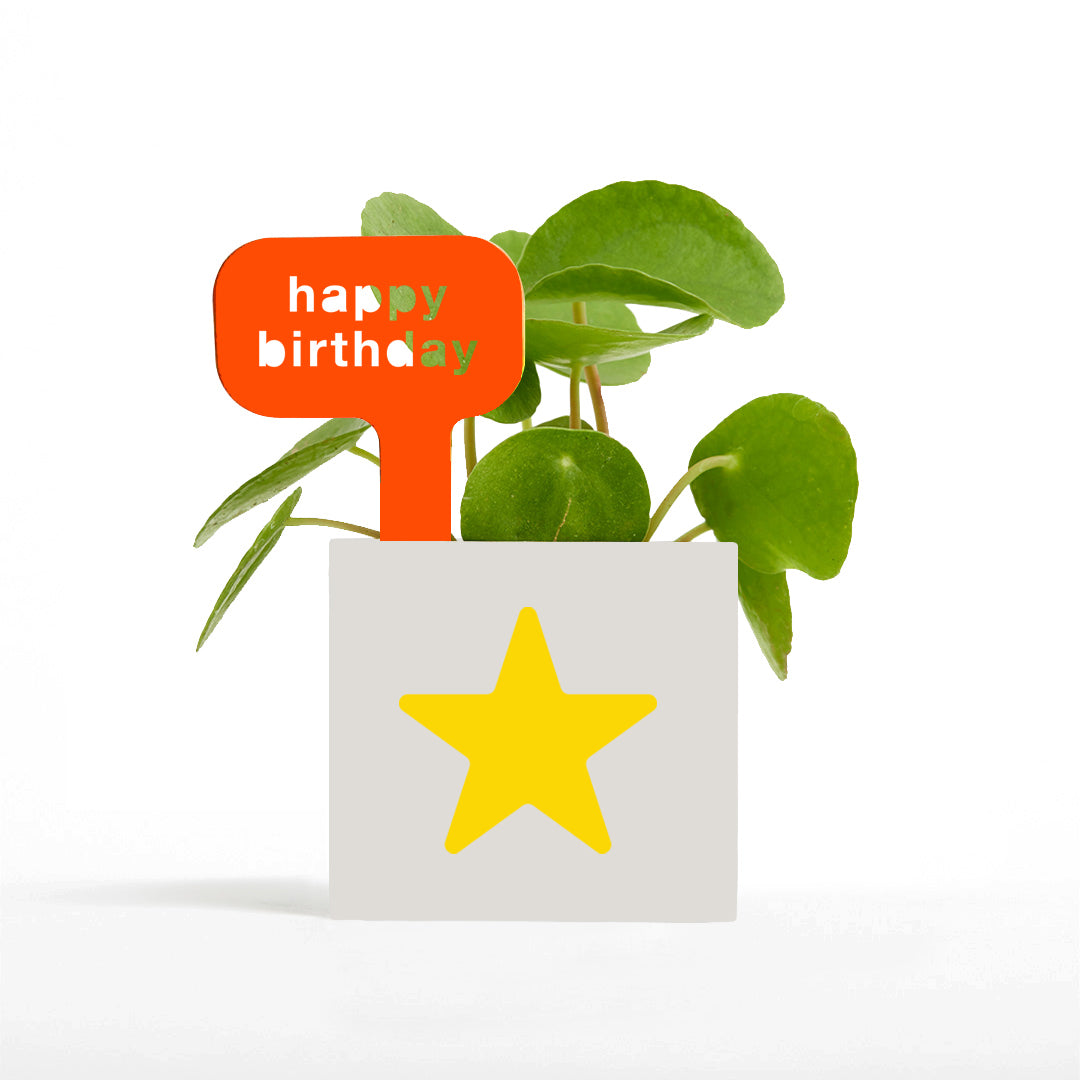 Happy Birthday Pot