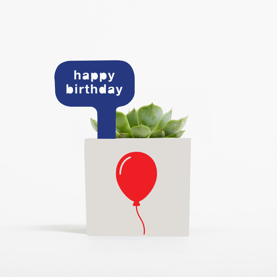 Happy Birthday Pot