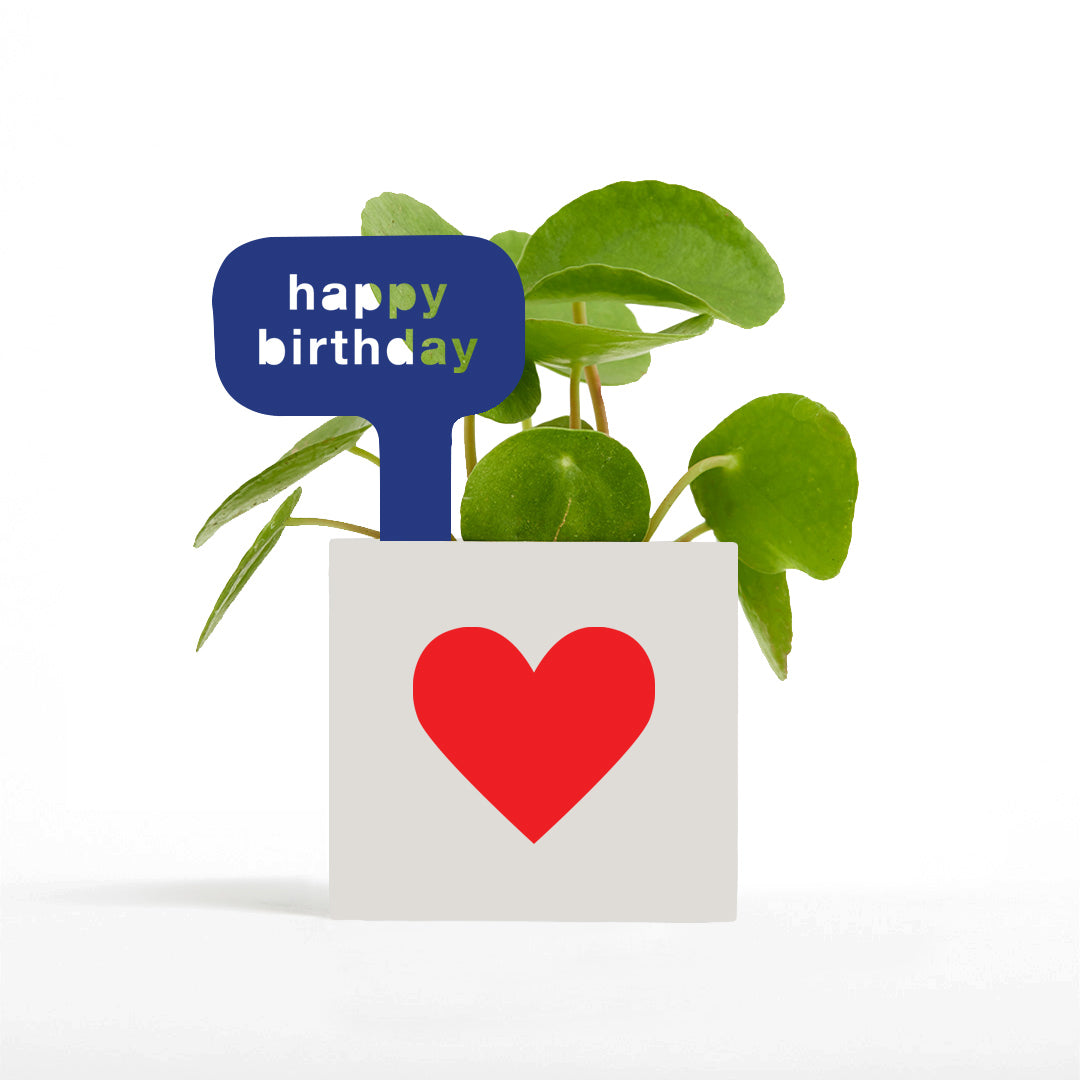 Happy Birthday Pot