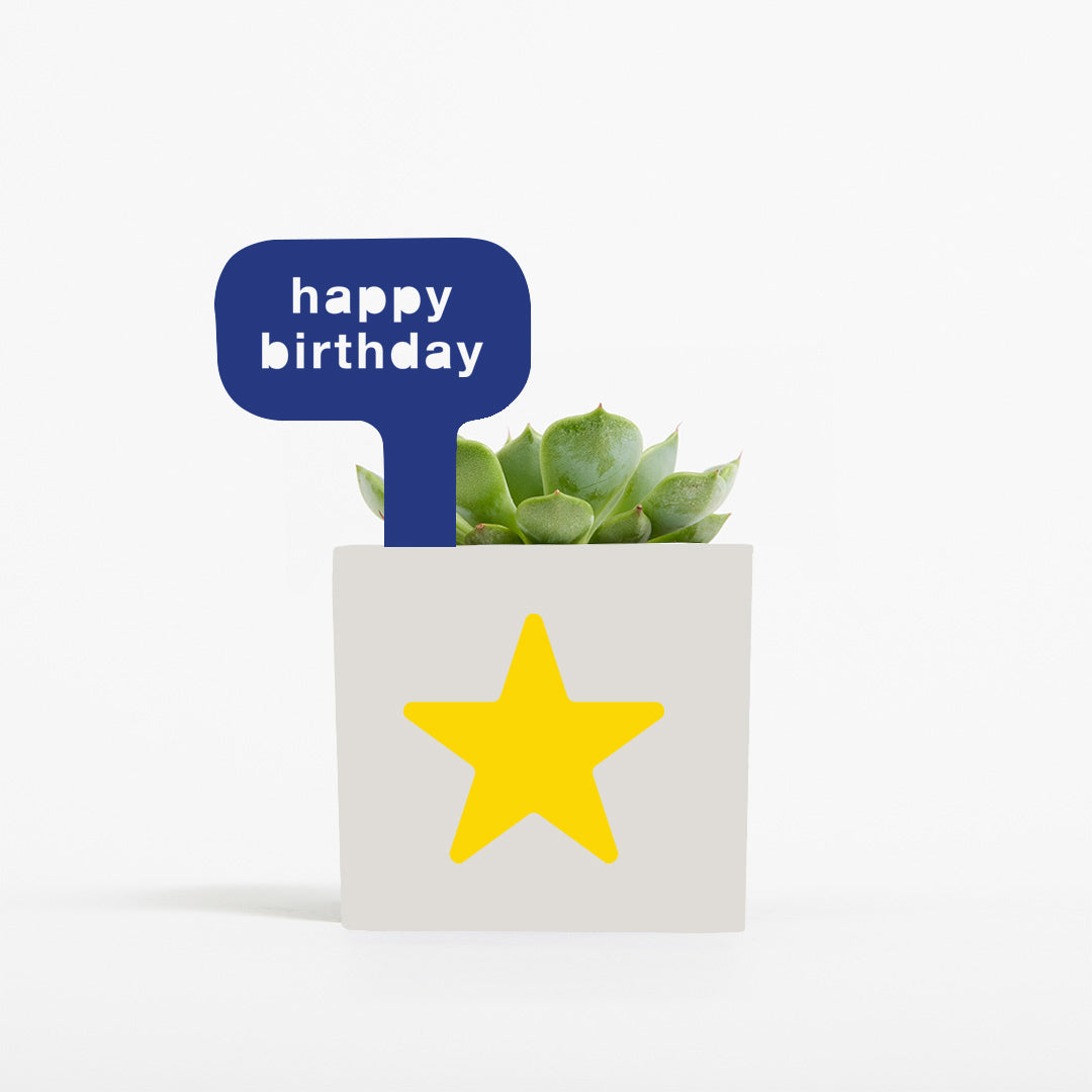 Happy Birthday Pot