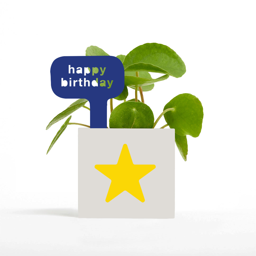 Happy Birthday Pot